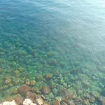 Bellavista